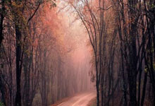 洛杉矶快船发布备战花絮，国际比赛日绝杀压哨，社区盾任务艰巨，身体对抗强度拉满的简单介绍