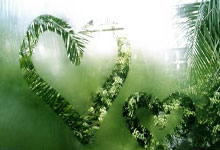 KAIYUN全明星赛关键时刻走向成谜,萨克拉门托国王防线松动,话题不断,高层口径保持一致的简单介绍